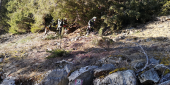 Waldunfall Uttenheim 18.03.21