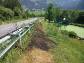 Böschungsbrand_2022-06-27