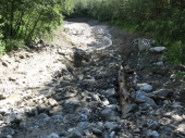 Unwetter Rienz Graben 20.06.11