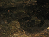 Stadelbrand Uttenheim 01.03.2015
