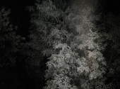 Übung Aurinum Schaum 01.10.15