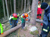 Holzhackerkurs 25.02.17
