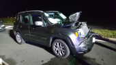 PKW Unfall mit Hirschkuh 14.08.17