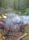 Waldbrand Rixnat 07.08.18