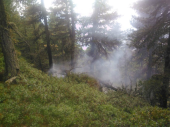 Waldbrand Rixnat 07.08.18