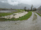 Unwetterschäden