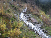 Unwetterschäden
