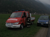 Entlaufene Kuh