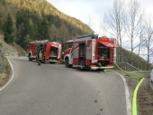 Waldbrand Uttenheim