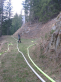 Waldbrand Uttenheim