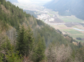 Waldbrand Uttenheim