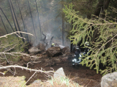 Waldbrand Uttenheim