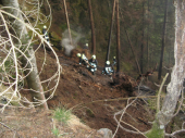Waldbrand Uttenheim