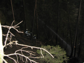 Waldbrand Uttenheim