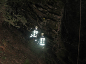 Waldbrand Uttenheim