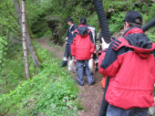 Jugendfeuerwehr
