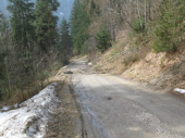 Steinschlag Hölzlstraße 10.03.2013