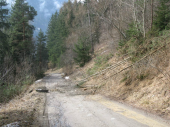 Steinschlag Hölzlstraße 10.03.2013