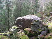 Steinschlag Hölzlstraße 10.03.2013