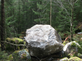 Steinschlag Hölzlstraße 10.03.2013