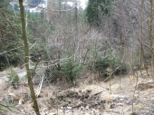 Steinschlag Hölzlstraße 10.03.2013
