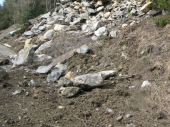 Steinschlag Hölzlstraße 10.03.2013