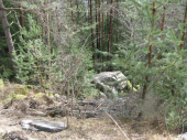 Steinschlag Hölzlstraße 10.03.2013