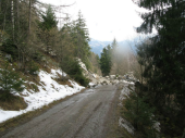 Steinschlag Hölzlstraße 10.03.2013