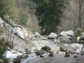 Steinschlag Hölzlstraße 10.03.2013