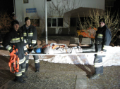 Zugsübungen vom 11.12.14.03.2013