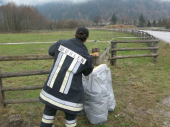 Aktion sauberes Dorf 06.04.2013