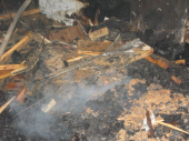 Brand Tischlerei in Gais