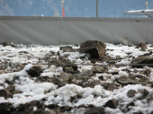 Steinschlag Jungmann 12.01.2014