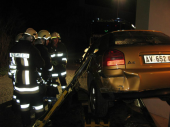 Zugsübungen vom 31.01.03.04.2014