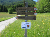 Grisu Marathon 31.05.2014
